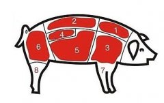 病害肉檢測儀讓老百姓吃上放心肉！